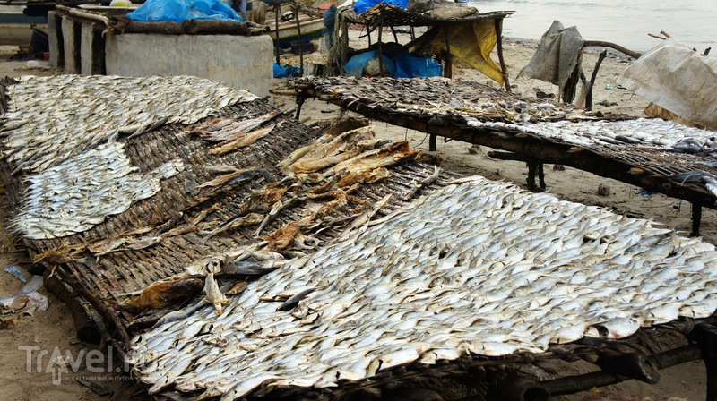 Tanji fish market / Гамбия