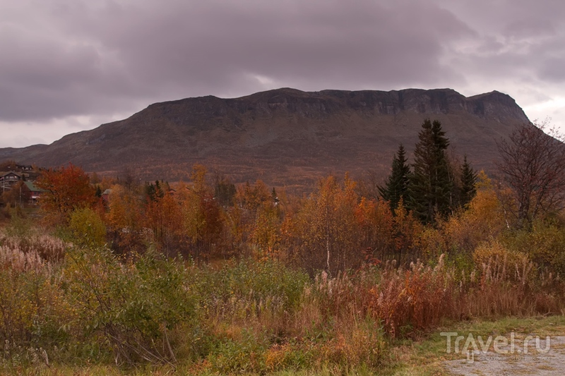 Долина Husedalen в октябре / Норвегия