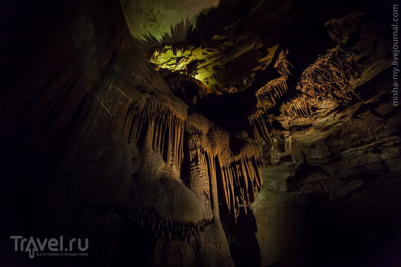 США. Национальный парк Mammoth Cave / Фото из США