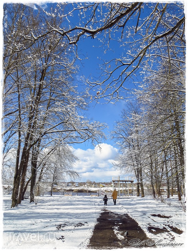 Природа парка 40 лет ВЛКСМ в городе Волхове / Россия