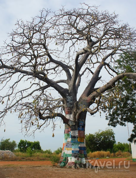 Serekunda-Abuko reserve - Lamin Lodge / Гамбия