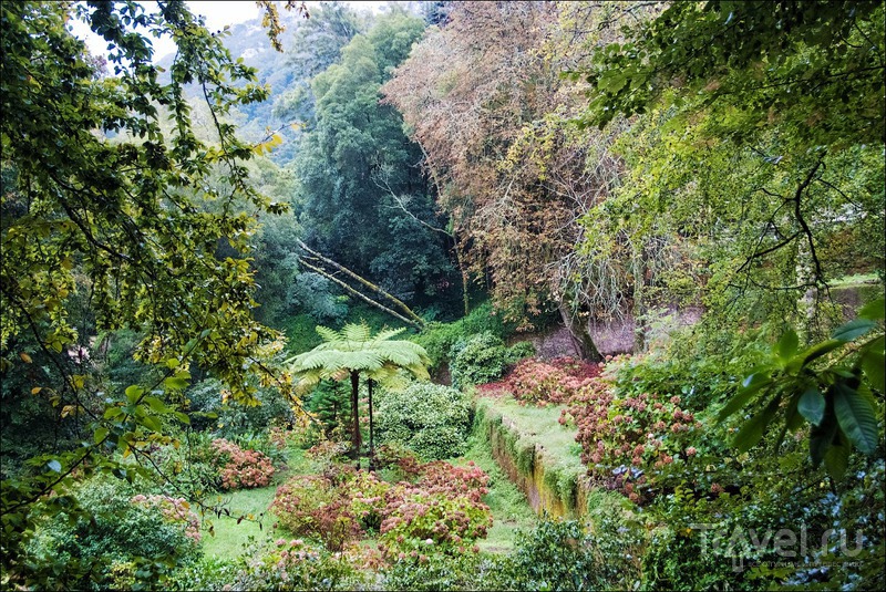 Синтра, Португалия: мистический Quinta da Regaleira и окрестности / Фото из Португалии
