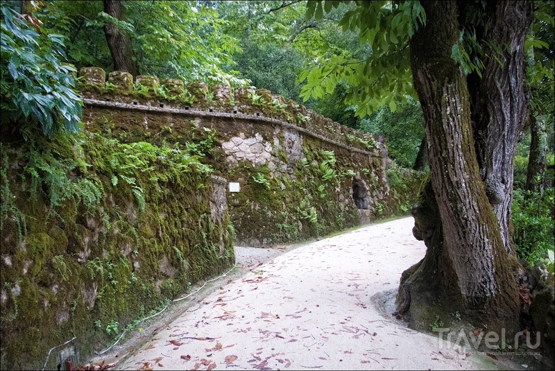 Синтра, Португалия: мистический Quinta da Regaleira и окрестности / Фото из Португалии