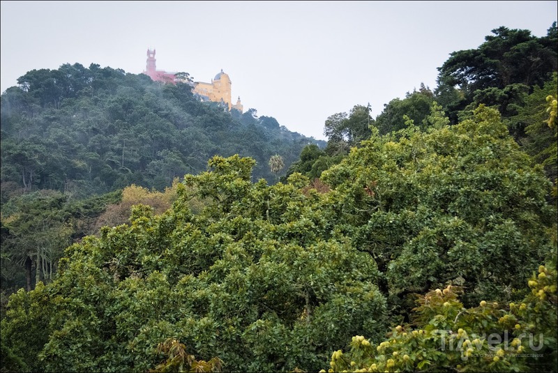 , :  Quinta da Regaleira   /   