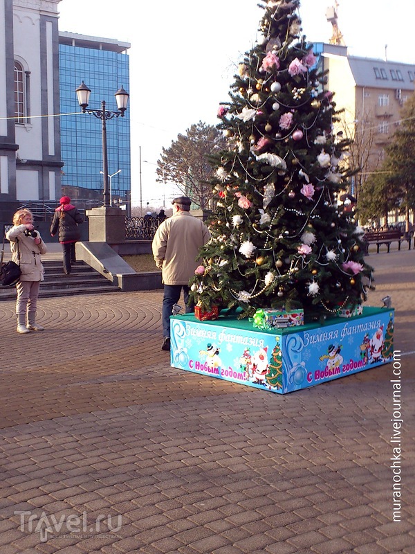 Парад необычных новогодних ёлок в Краснодаре / Россия