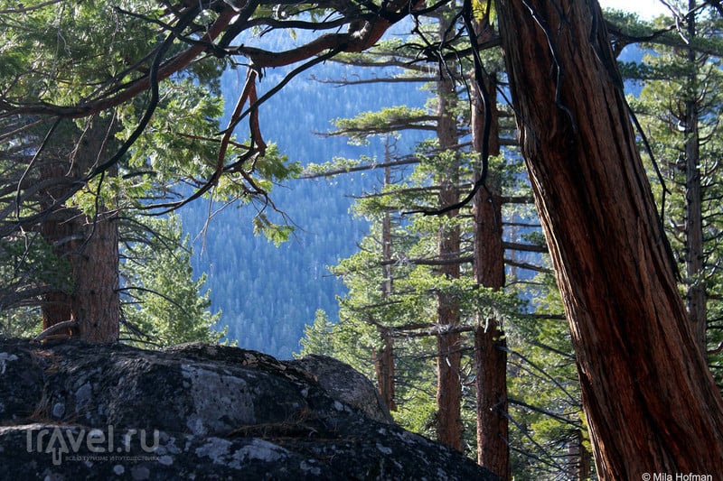 Tahoe. D.L. Bliss State Park / Фото из США