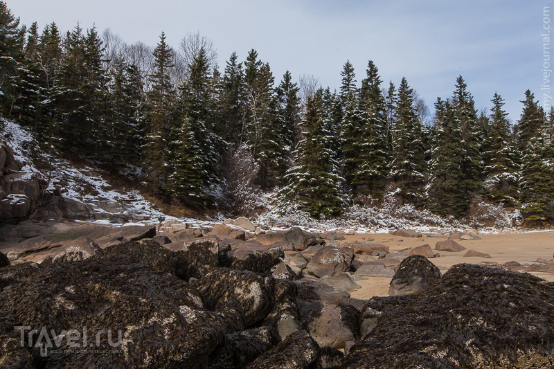 Национальный парк Acadia / Фото из США