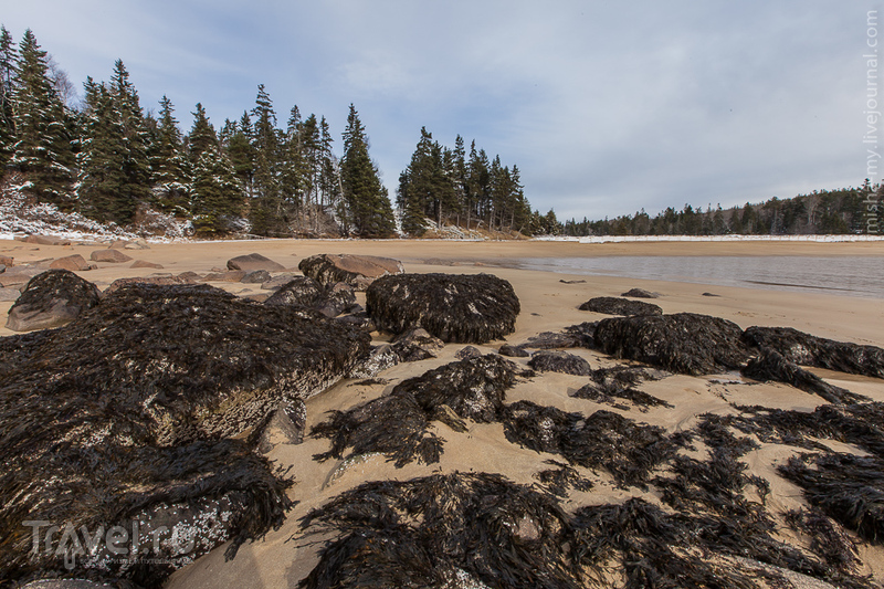 Национальный парк Acadia / Фото из США