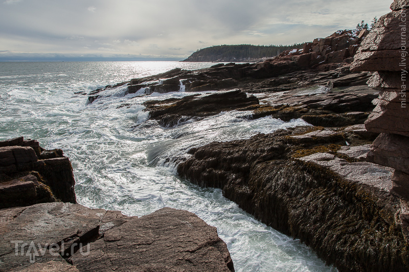 Национальный парк Acadia / Фото из США