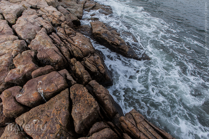 Национальный парк Acadia / Фото из США