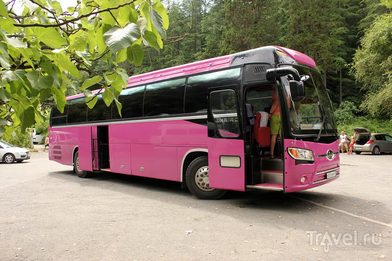 На розовом автобусе в Сочи, на Олимпийские объекты и в аул / Россия