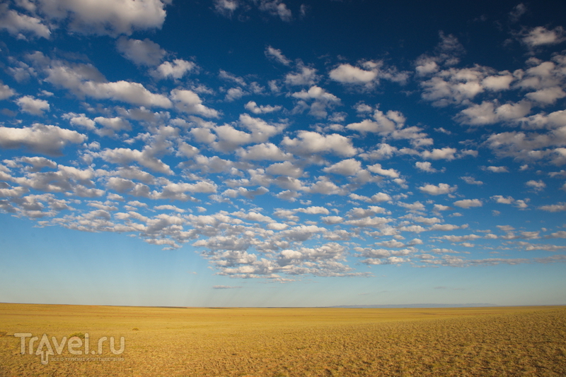 Монголия по кругу: одиночный авторейд. Центральная Монголия / Монголия