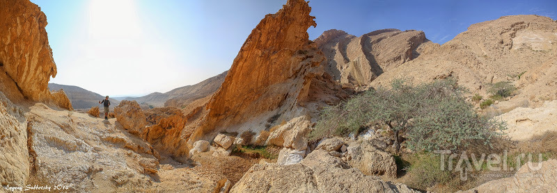 Круговой маршрут от Малого Кратера через ущелье Акрабим и Римский Маале Акрабим (Скорпионий Подъём) / Израиль