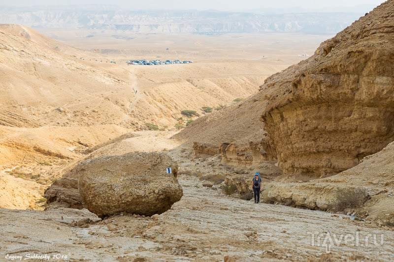 Круговой маршрут от Малого Кратера через ущелье Акрабим и Римский Маале Акрабим (Скорпионий Подъём) / Израиль