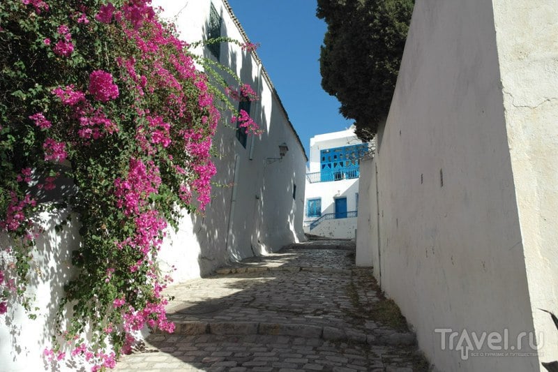 Сиди-Бу-Саид, Тунис - Белый город о котором очень преувеличивают... / Тунис