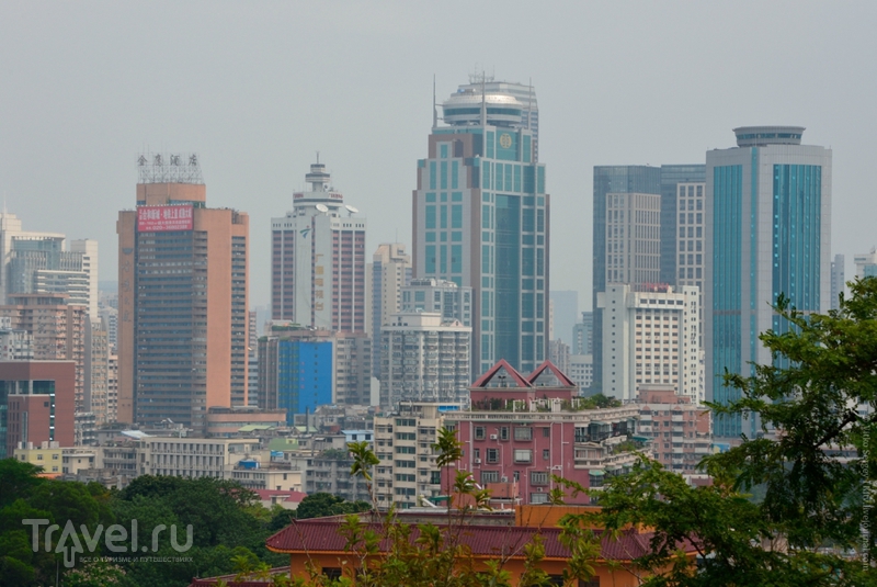 В поисках пяти козлов... / Фото из Китая