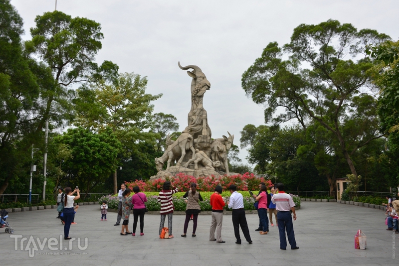 В поисках пяти козлов... / Фото из Китая