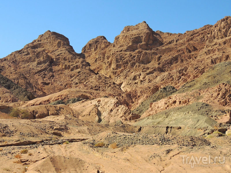 Дахаб, верблюды, оазис, квадроциклы / Фото из Египта