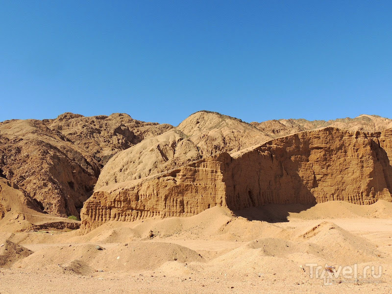 Дахаб, верблюды, оазис, квадроциклы / Фото из Египта