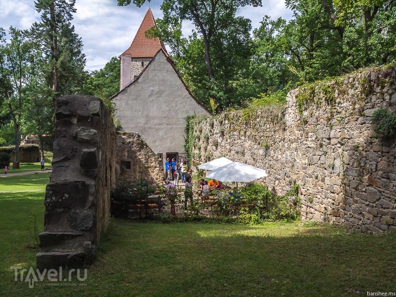 Чехия: замок Звиков / Фото из Чехии