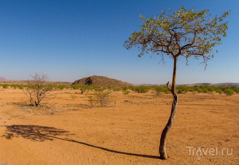 Дамаралэнд. Африка. Намибия / Фото из Намибии