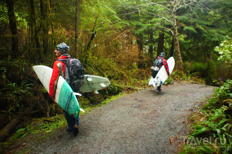 Vancouver Island, December Surfing, Avatar Groove / 