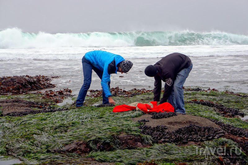 Vancouver Island, December Surfing, Avatar Groove / 