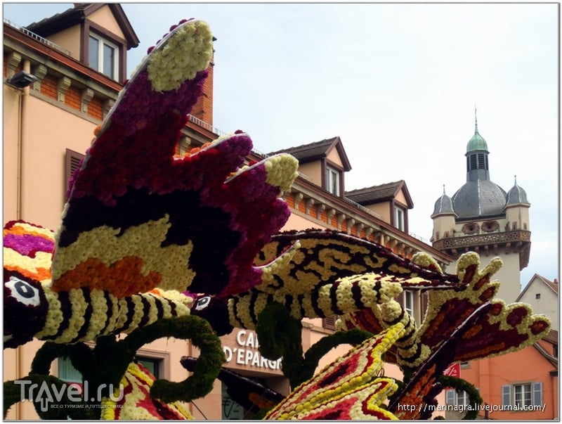 Цветочный парад в Селесте: полмиллиона георгинов / Фото из Франции