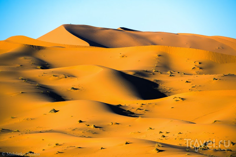 Morocco: Erg Chebbi / Фото из Марокко