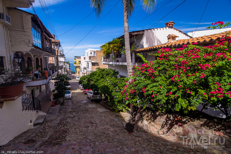 Puerto Vallarta -    /   