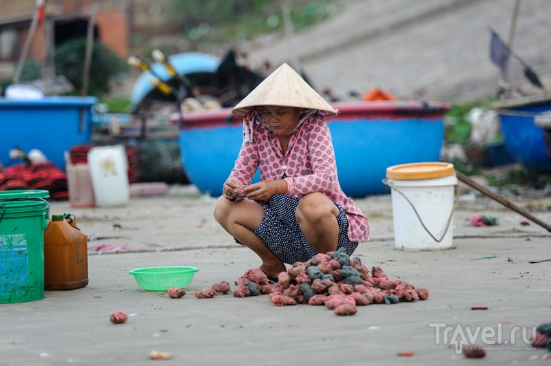 Рыбный рынок в Муй Не / Вьетнам
