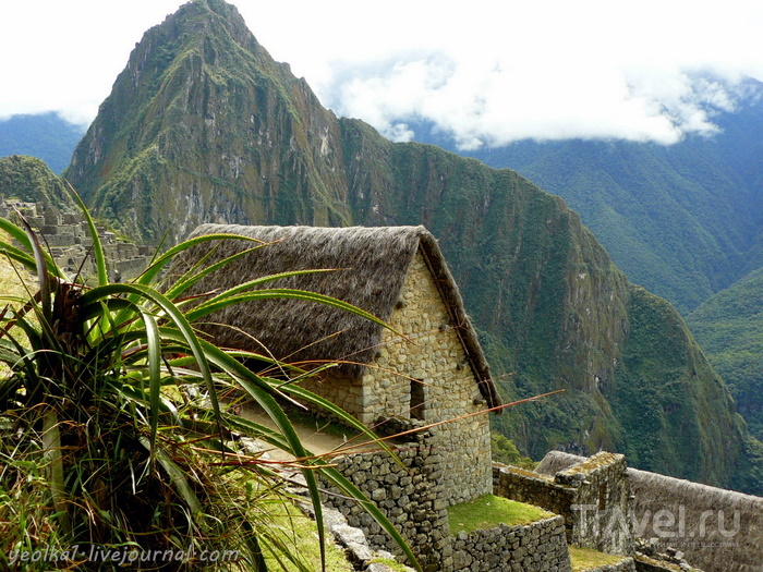 На вершине Мачу Пикчу / Фото из Перу
