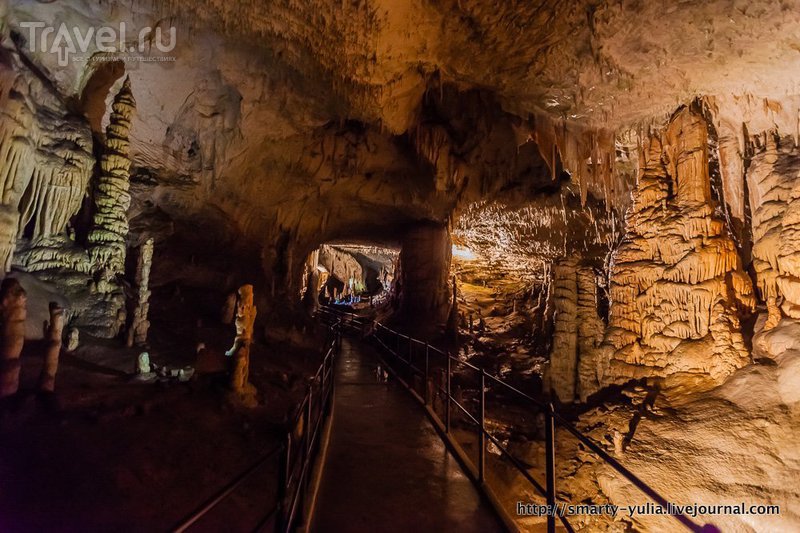 Пещера Постойнска-Яма / Фото из Словении