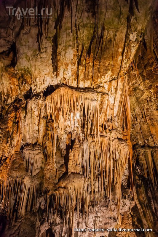 Пещера Постойнска-Яма / Фото из Словении