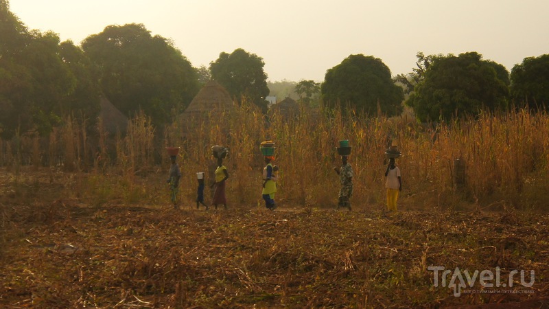 Dar Salam -Традиционная сенегальская деревня / Сенегал