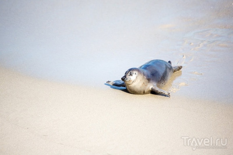    , La Jolla, CA, ,  /   