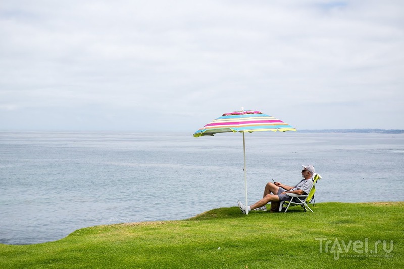    , La Jolla, CA, ,  /   