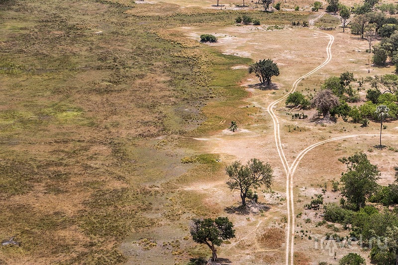 Ботсвана. Дельта Окаванго. Остров Шинде / Фото из Ботсваны