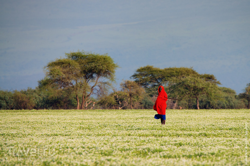 Большое Африканское Приключение / Фото из Кении