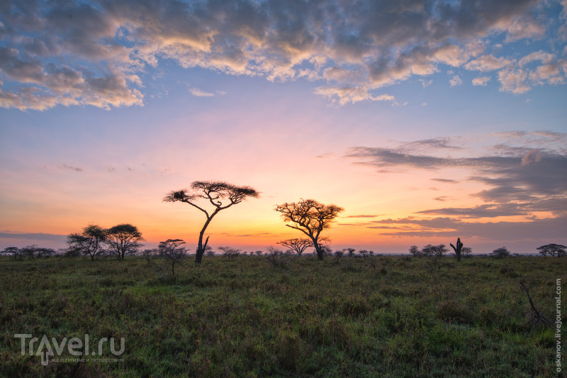 Большое Африканское Приключение / Фото из Кении