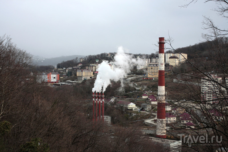 Сочинский дендрарий. Лето в январе / Фото из России