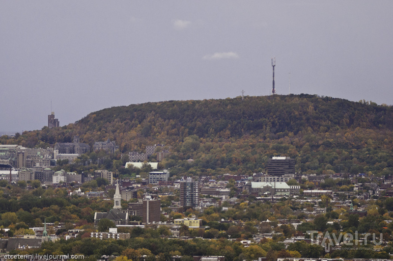 Монреаль с высоты олимпийской башни / Фото из Канады