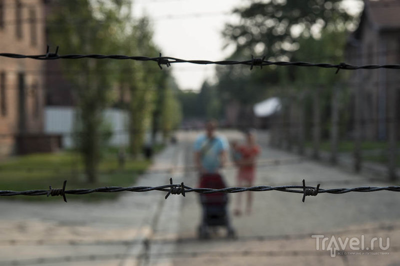 Мой Освенцим / Фото из Польши