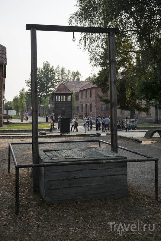 Мой Освенцим / Фото из Польши