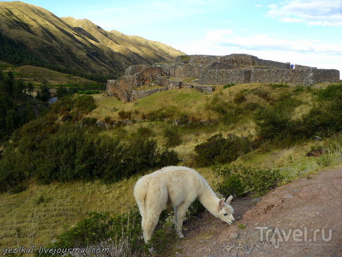 Un gran viaje a America del Sur. Перу. Valle Sagrado. Тамбомачай, Пука Пукара и Кенко / Перу