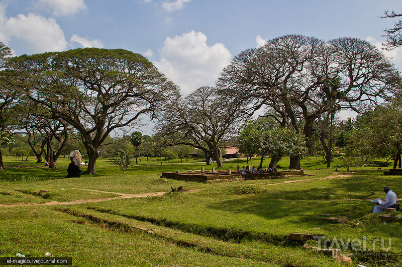 Благословенная земля. Древние храмы Цейлона и священное дерево Бо / Фото со Шри-Ланки