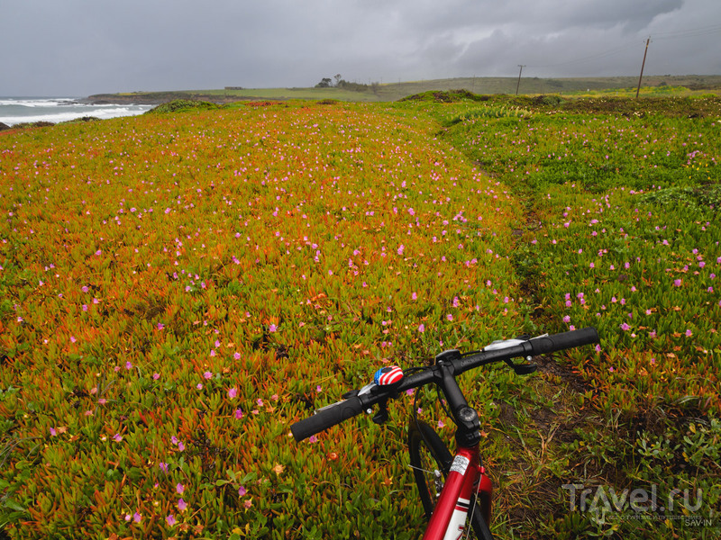 Как я на велосипеде до океана доехал / Фото из США