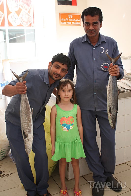 ОАЭ. Поход на рыбный рынок в Аджмане / ОАЭ