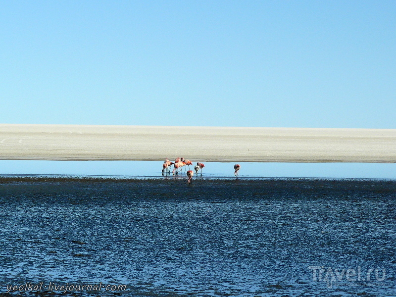 Un gran viaje a America del Sur. .   .    - " "... /   