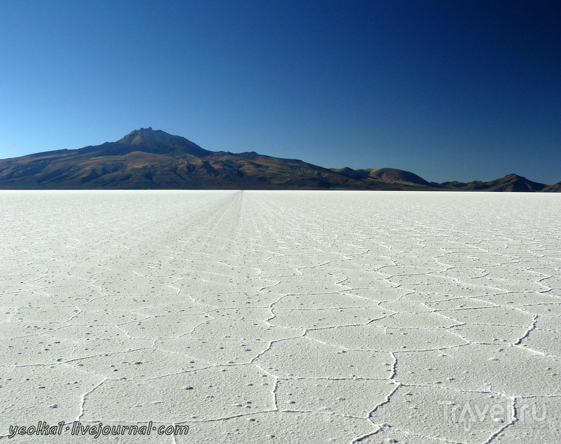 Un gran viaje a America del Sur. .   .    - " "... /   